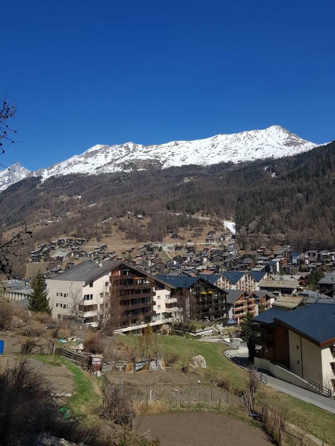 Ferienwohnung Zayetta Ice Cube Nr. 11 Zermatt Eksteriør billede